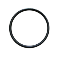 Brilix - O-ring seal for swim jet fitting - elegance